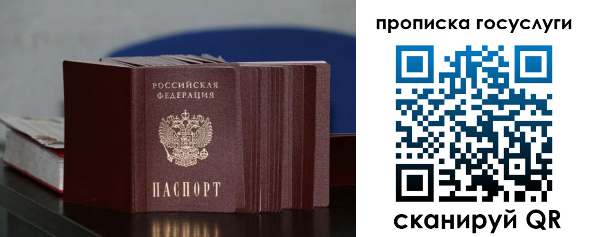 купить прописку в Зернограде